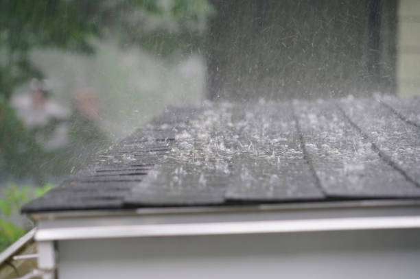Best Flat Roofing  in South Houston, TX