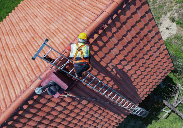 Professional Roofing Service in South Houston, TX